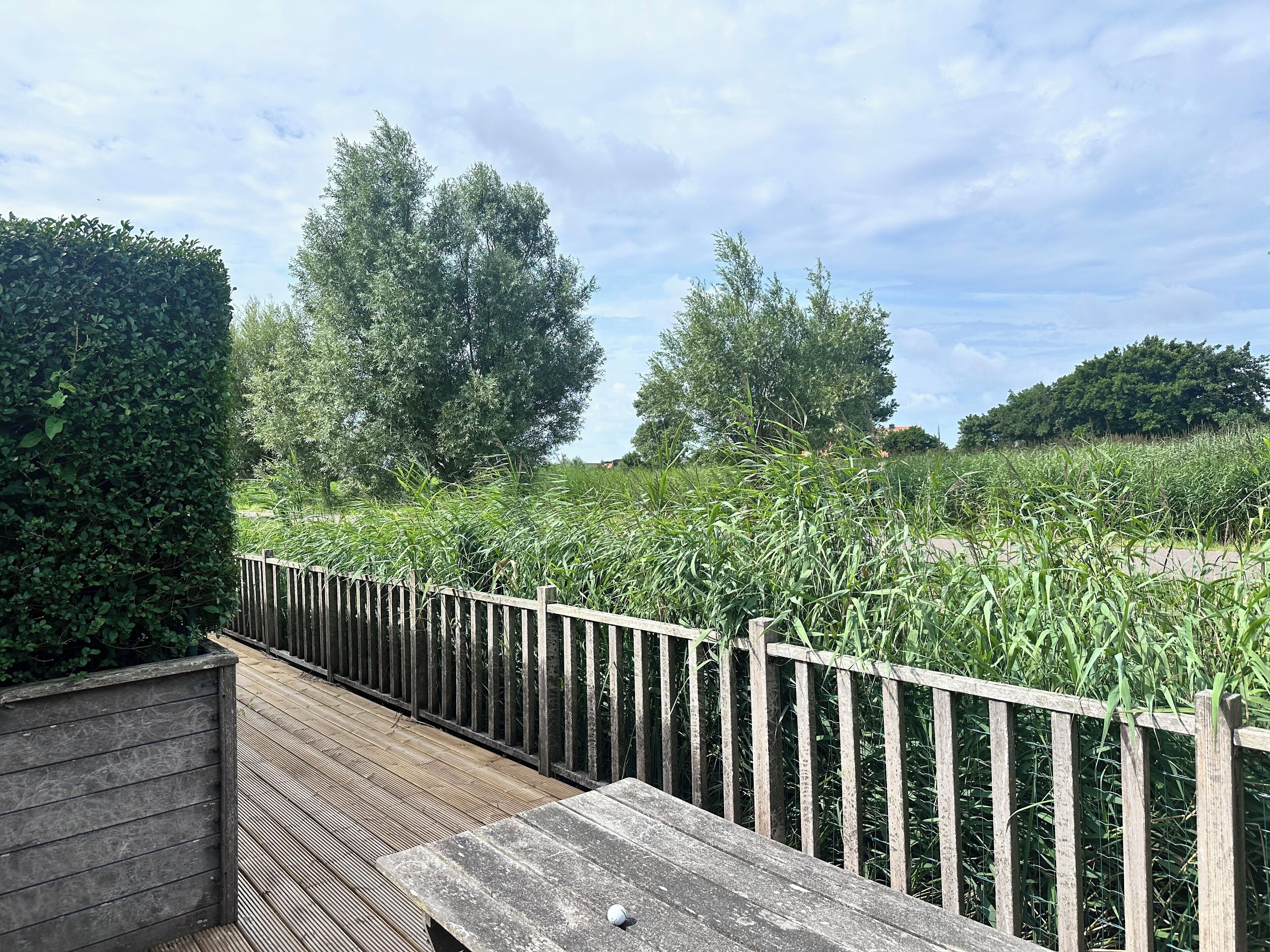 Terrein van de accommodatie