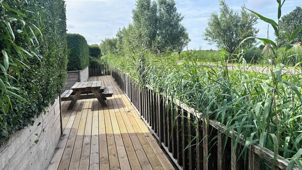 A wooden deck with a picnic table, surrounded by dense greenery and a metal fence.
