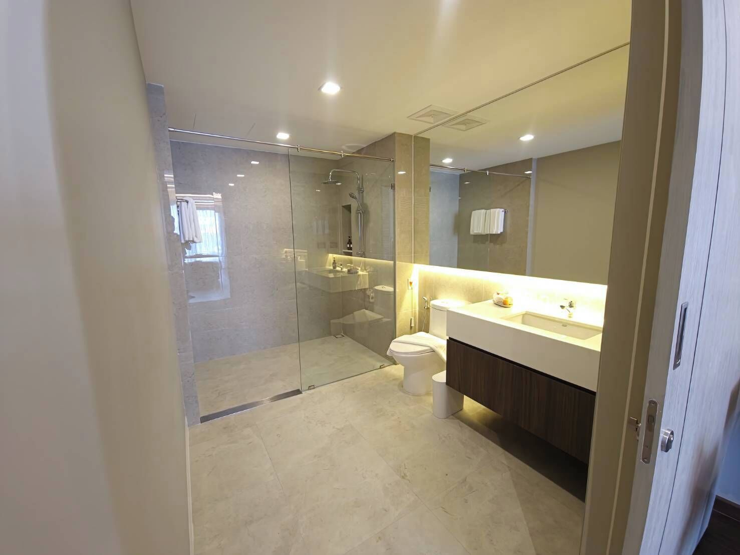 A modern bathroom with a glass-enclosed shower, a toilet, and a vanity with a mirror.