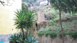 A garden with a stone wall, a palm tree, and a wooden stick.