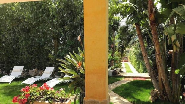 A garden area with a pathway, a yellow column, and a row of white lounge chairs.