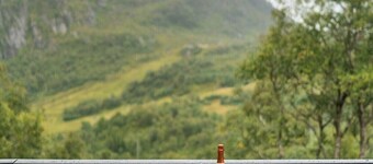 Stavtjørn Apline lake Haven