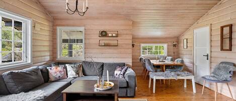 Smart TV y chimenea