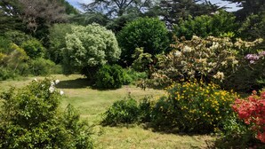 Um jardim com várias árvores e plantas floridas.