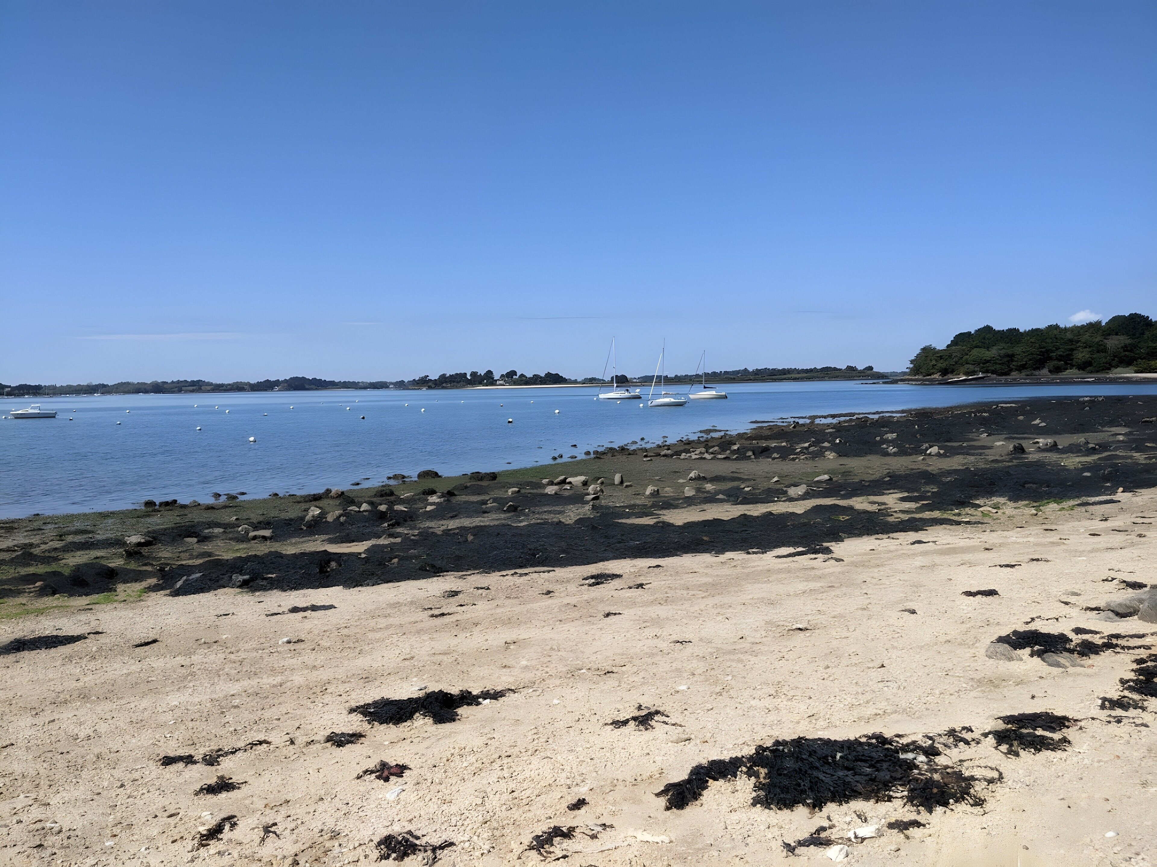 Een strand met boten, een rotsachtige kustlijn en bomen in de verte.
