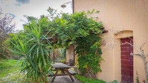 Un banc en bois, une porte et un mur recouvert de plantes grimpantes.