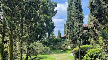 Vista al jardín