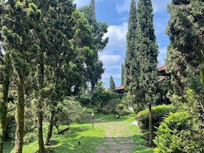 Bungalou Comfort | Vista del jardí