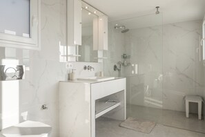 Shower, hair dryer, towels