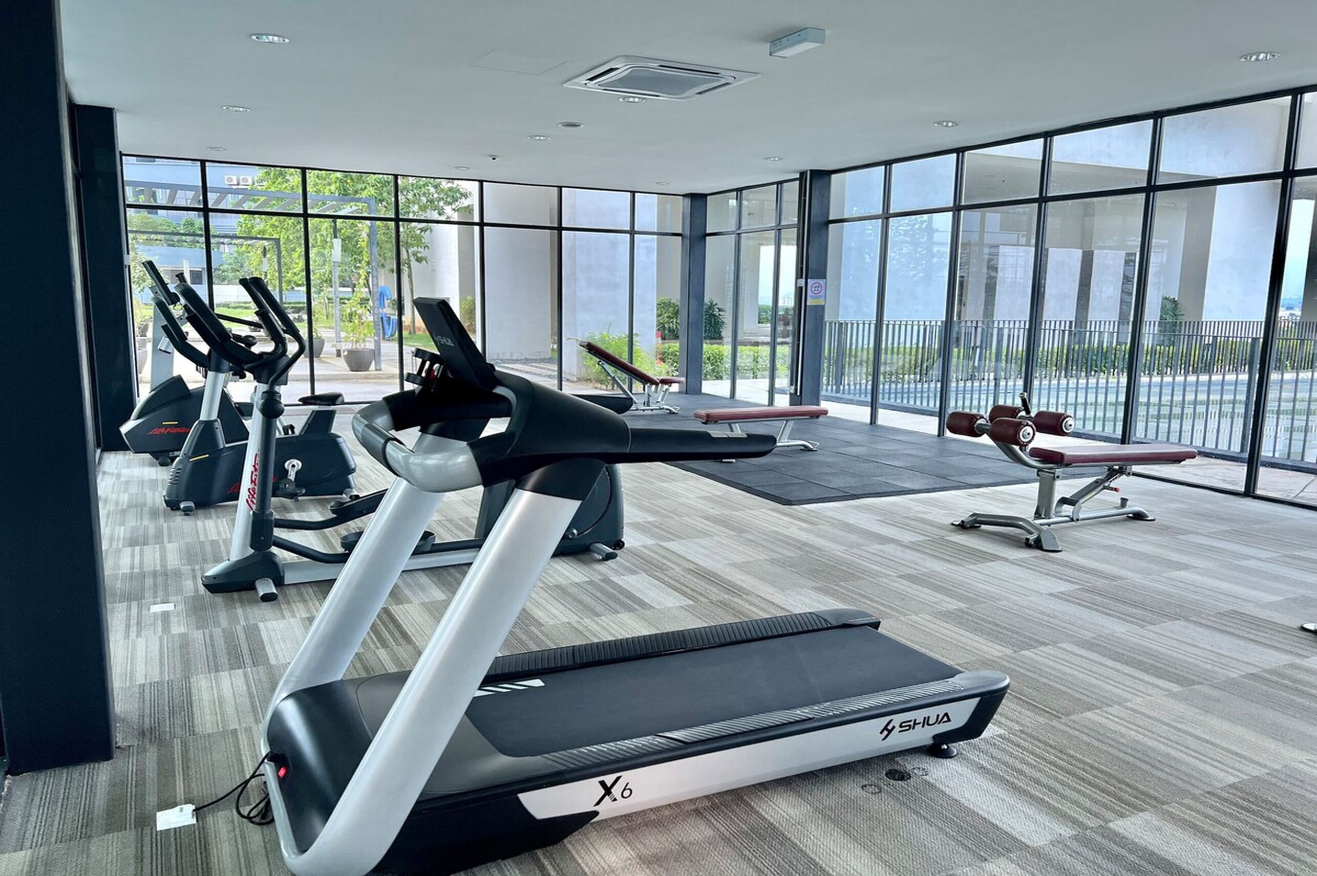 A modern gym with cardio machines, a bench, and a weight bench.