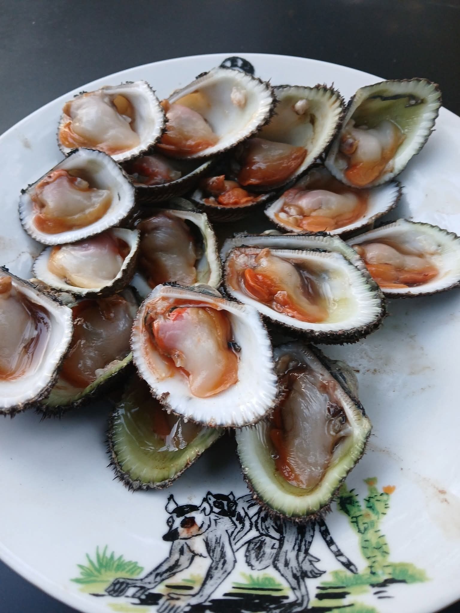 A plate of open oysters with visible meat and shells.