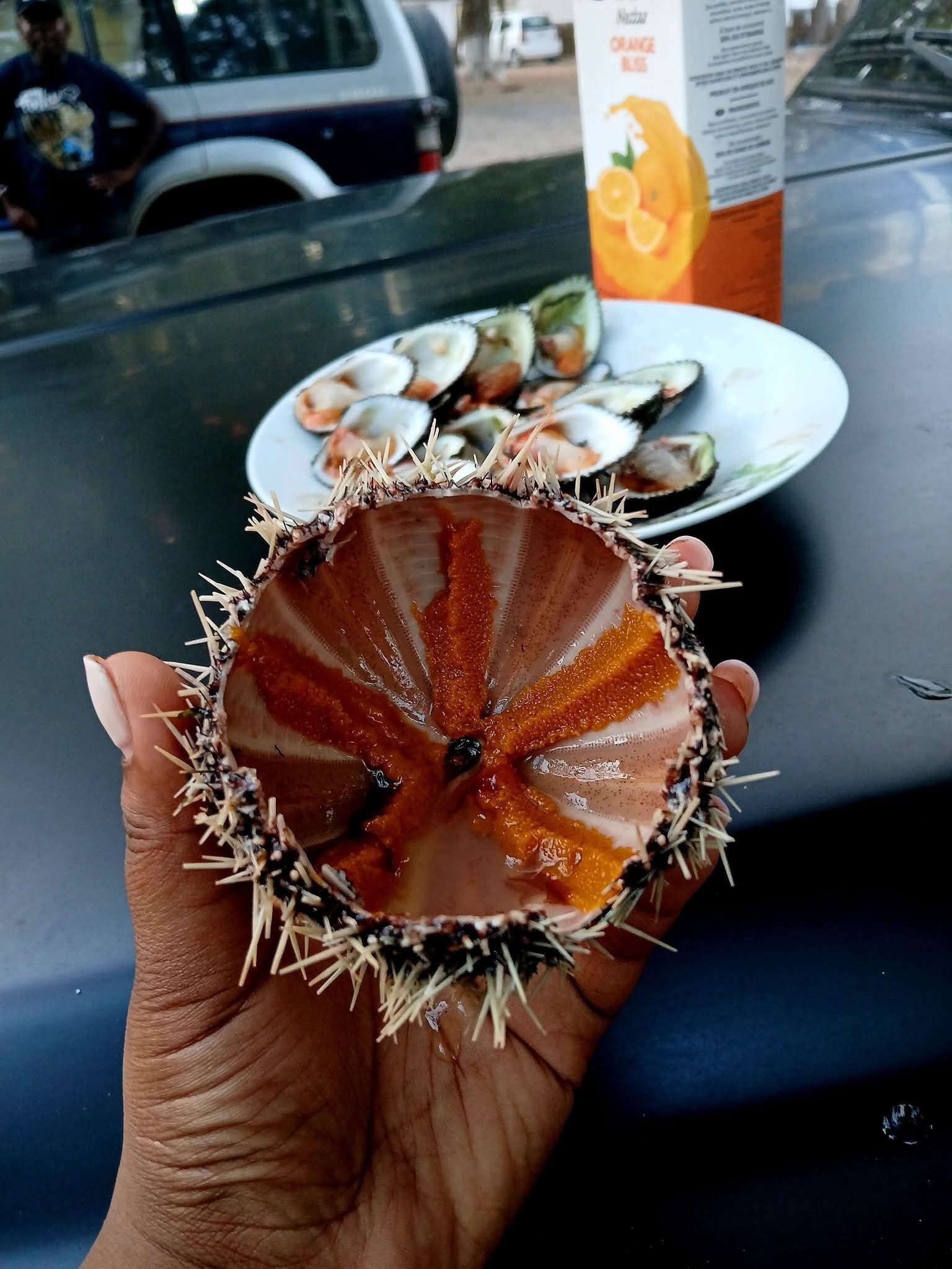 A hand holding a sea urchin shell with a plate of clams in the background.