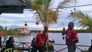 A waterfront area with a dining setup, palm trees, and a body of water.