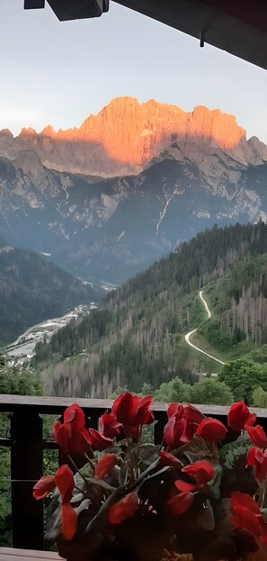 Vista da propriedade