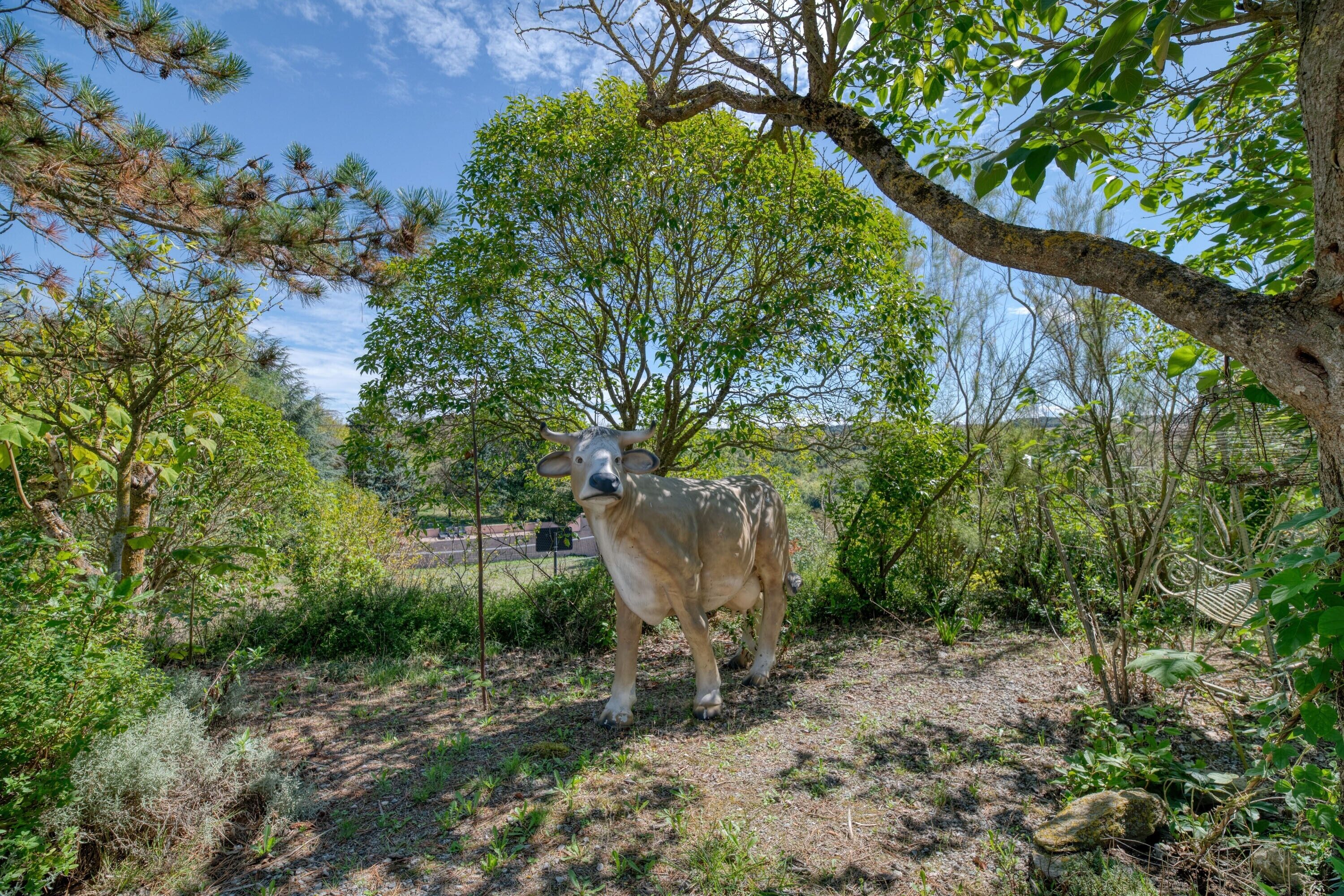A cow standing in a natural setting with trees and shrubs.