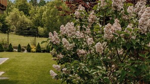 Un jardín con flores blancas en plena floración, un césped cuidado y una valla de madera al fondo.