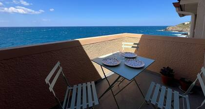 Appartement Ă Collioure avec Terrasse et Parking, AccĂšs Direct Ă la Mer