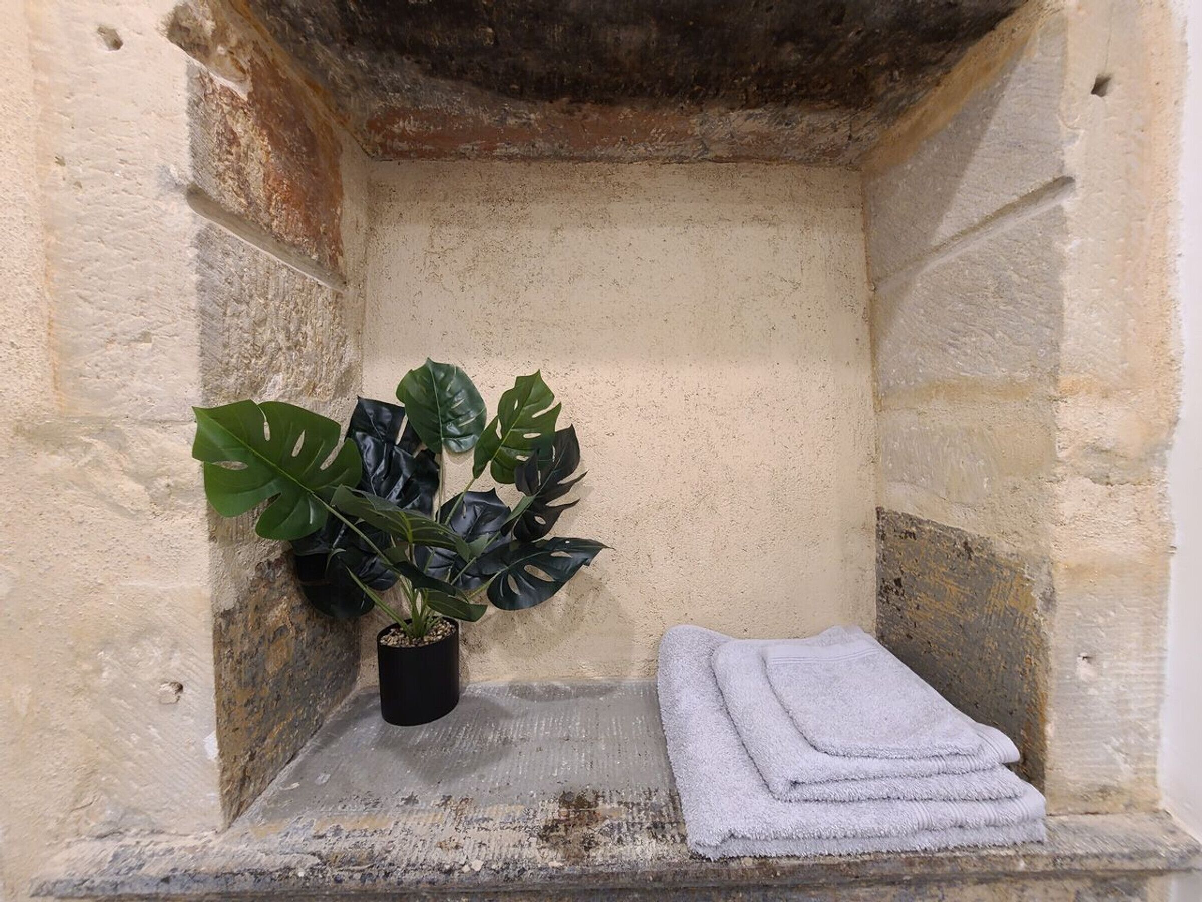 Un espai reduït i tancat, amb una planta en test i tovalloles doblegades.