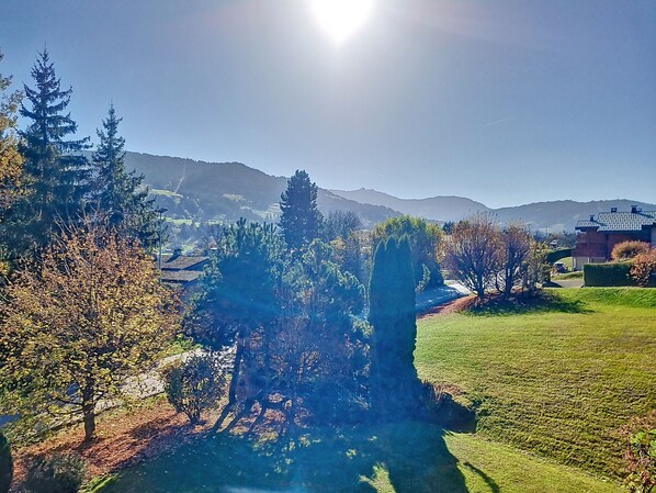 Terrain de l’hébergement 