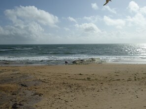 Playa
