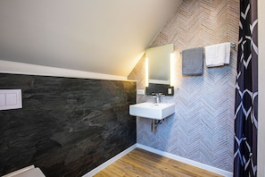 Shower, towels, soap, toilet paper