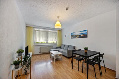 Apartment 'Am Geiseltalsee' with Wi-Fi
