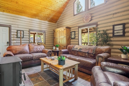 TV, fireplace, DVD player. The Cabin - A Family and Dog Friendly Log Cabin Getaway in the pines! Close to mountain biking, hiking, outdoor adventure!