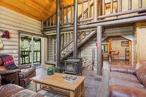 Televisión, chimenea y reproductor de DVD 