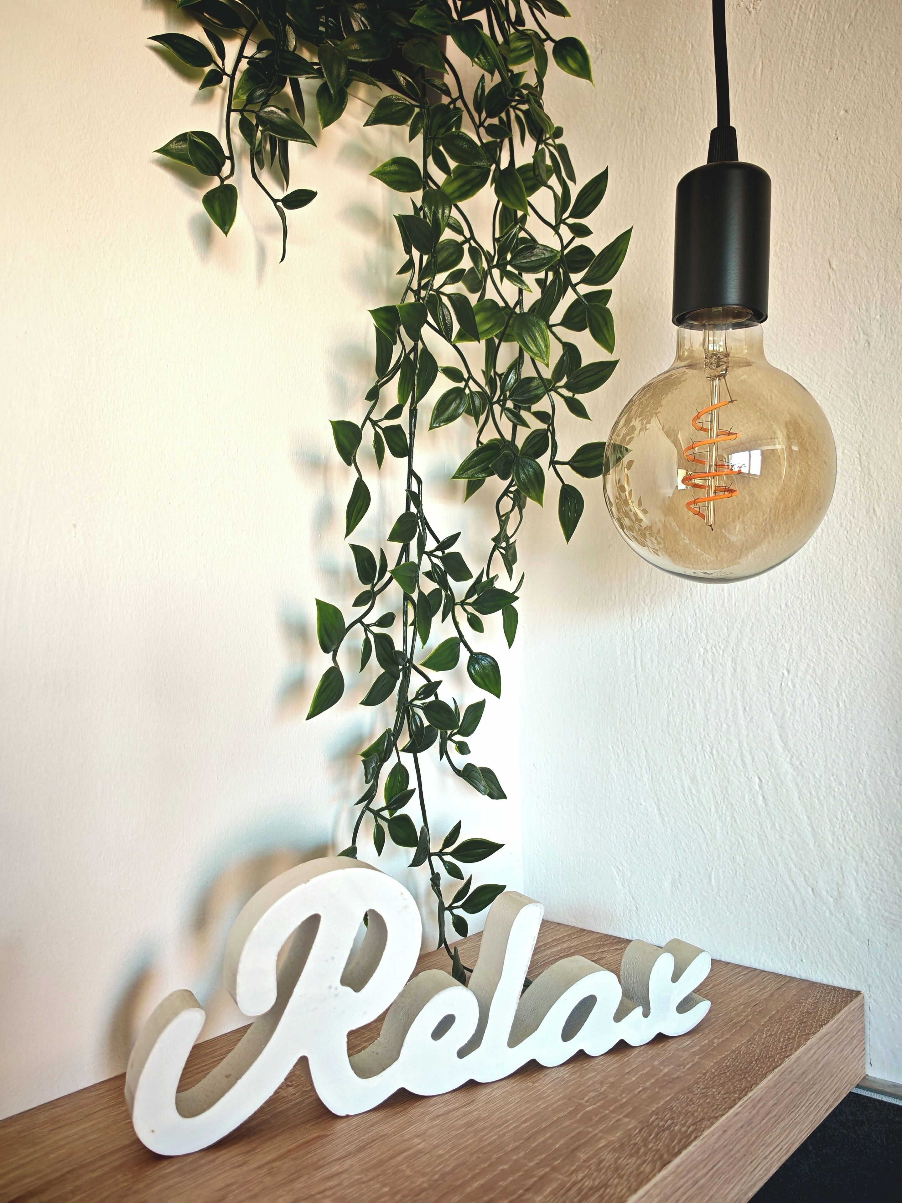 Een muur met een hangplant en een lamp.