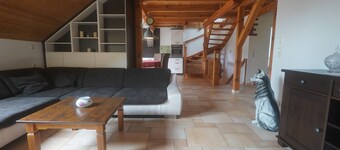 Where fox and hare say good night - vacation apartment Erika :)