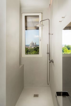 Shower, hair dryer, bidet, towels