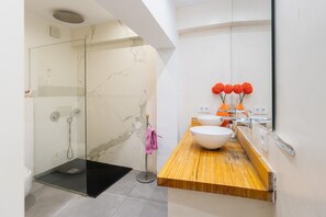 Shower, hair dryer, towels