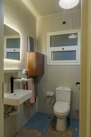 Shower, towels, soap, toilet paper