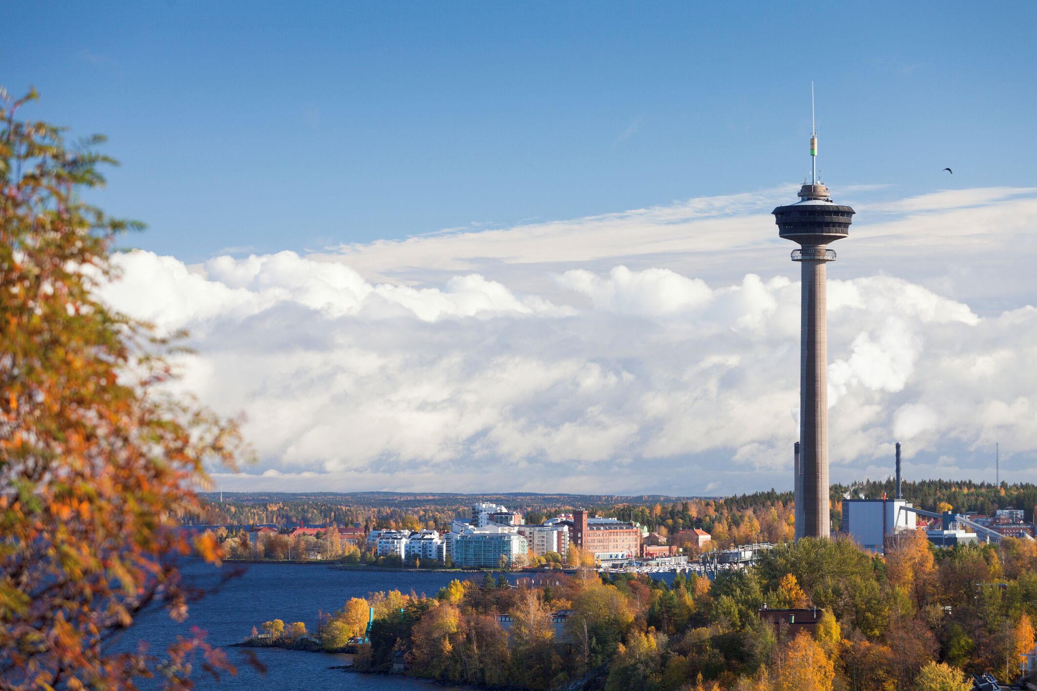 A cityscape with a prominent tower, a body of water, and autumn foliage.
