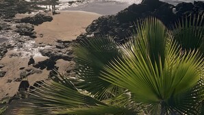 Una playa con terreno rocoso, una zona arenosa y una vista despejada del océano.