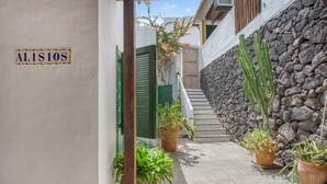 Un estrecho callejón con un muro de piedra, plantas en macetas y una puerta de madera.