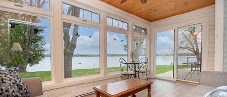 Smart TV, fireplace, books, video library