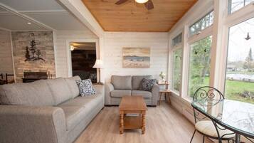 Smart TV, fireplace, books, video library