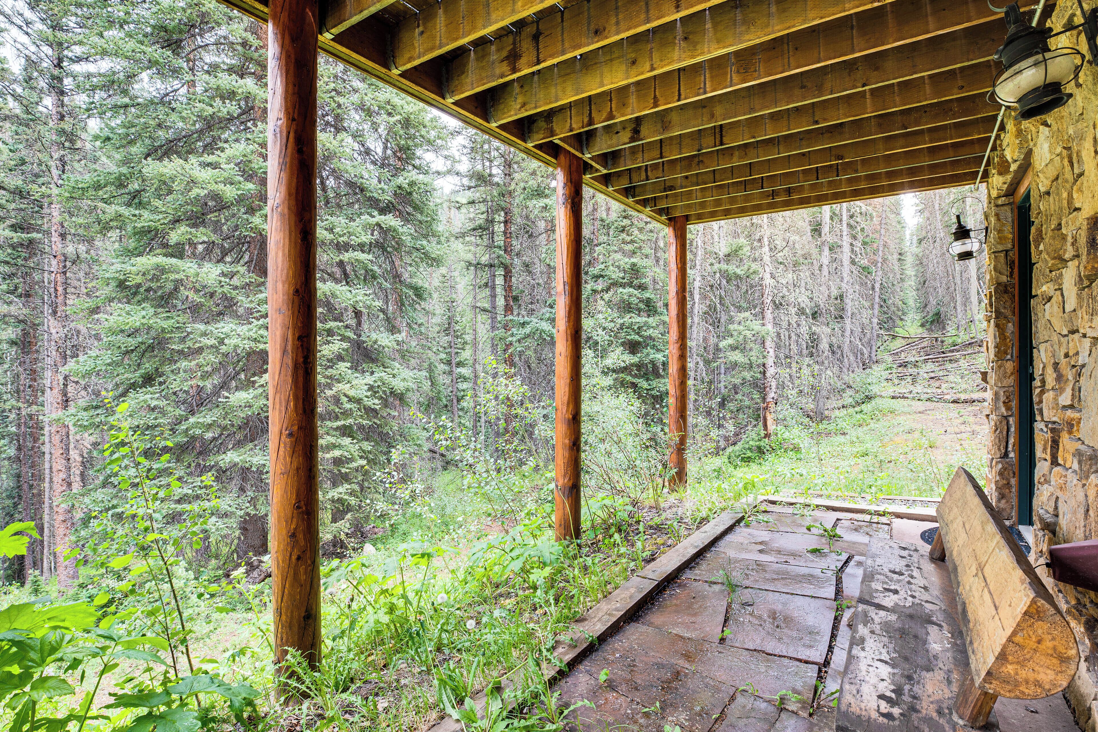 A wooden porch with stone steps leading into a forest.