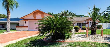 A residential area with houses, a palm tree, and a well-maintained lawn.