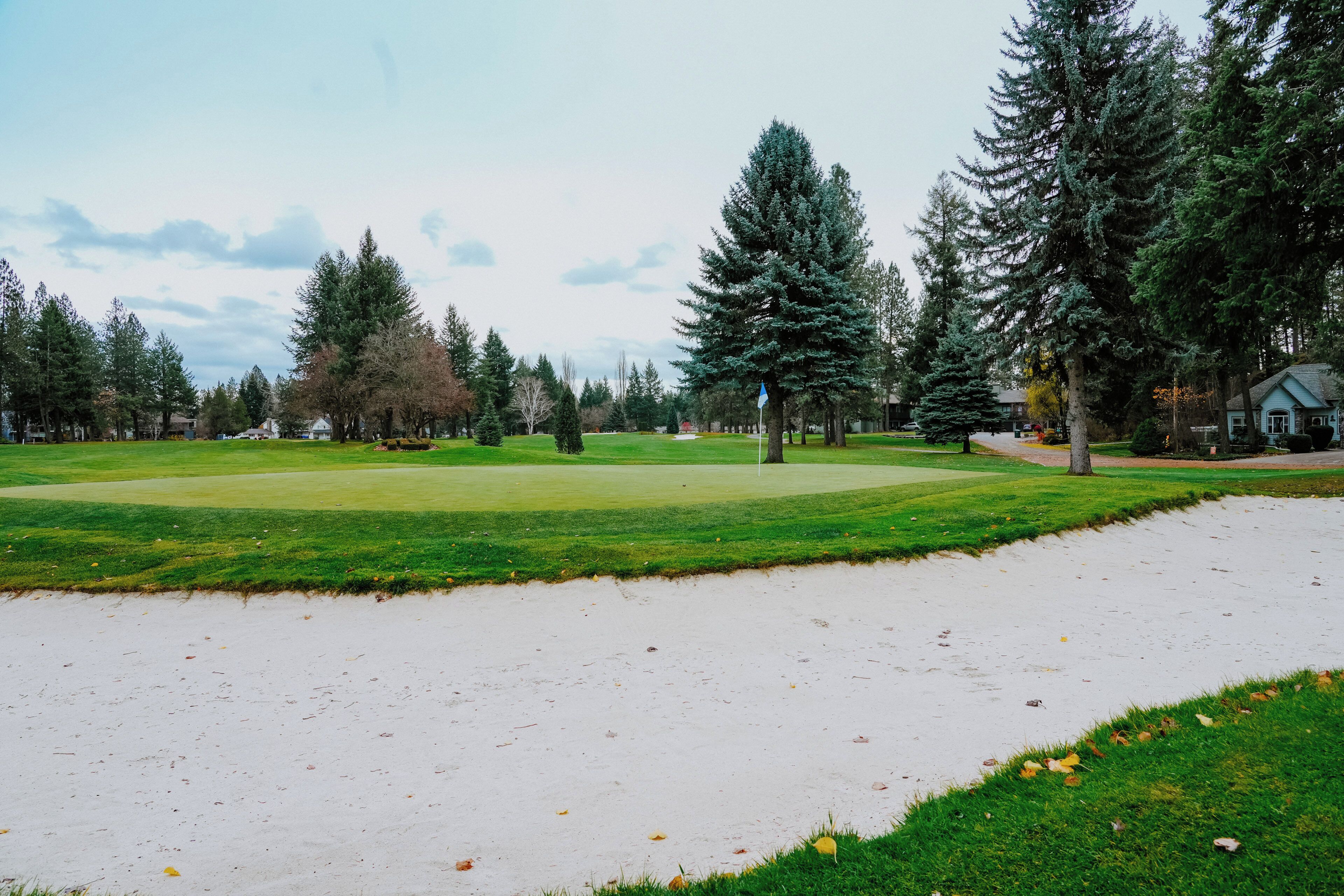 Ein Golfplatz mit Sandbunkern, einem Putting-Green und hohen Nadelbäumen.