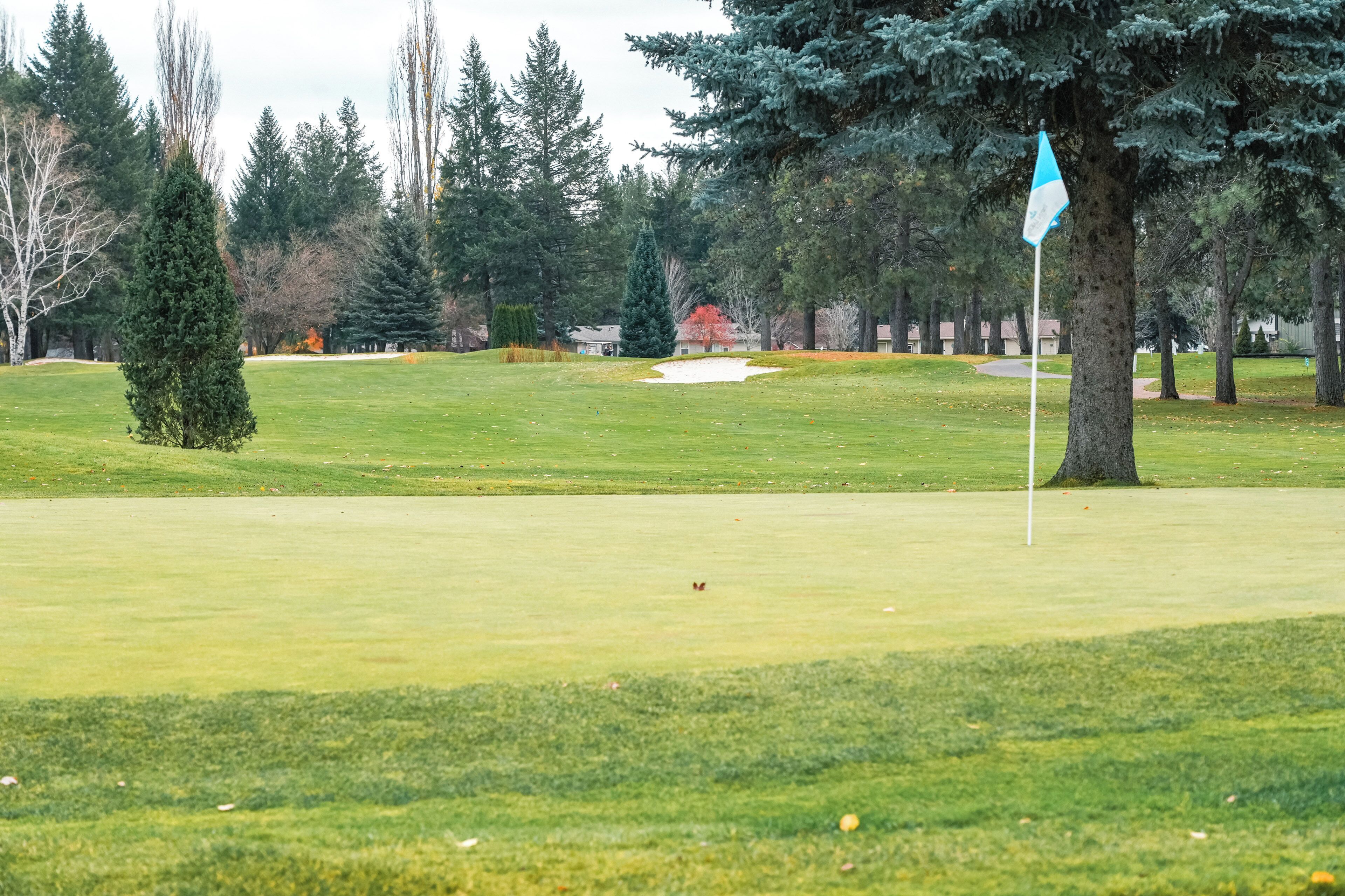 A golf course with a flag, trees, and a distant building.