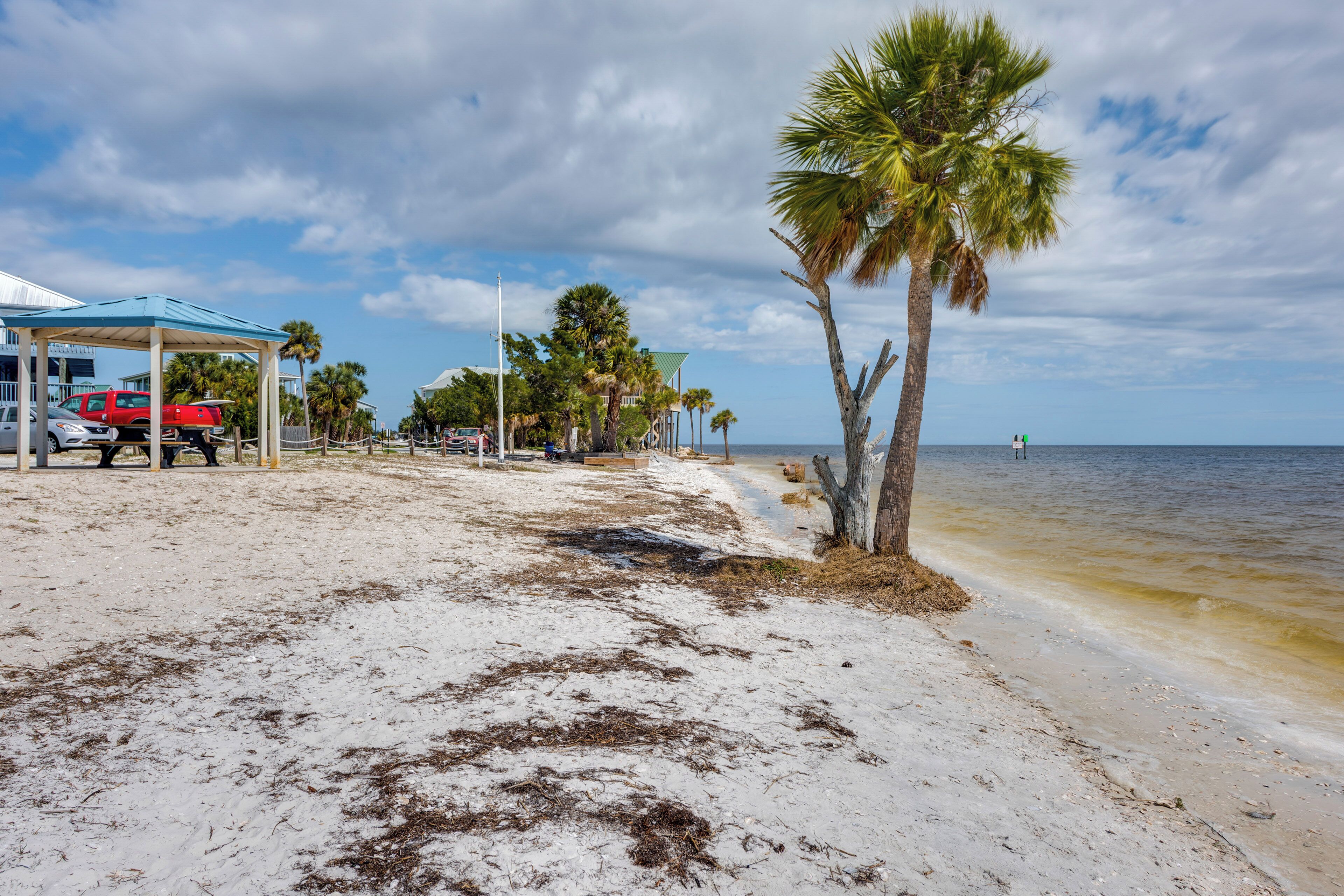 A beach with a covered area, palm trees, and a clear view of the ocean.