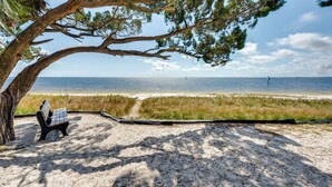 Un banc sous un arbre, sur une plage de sable, avec vue sur l’océan.
