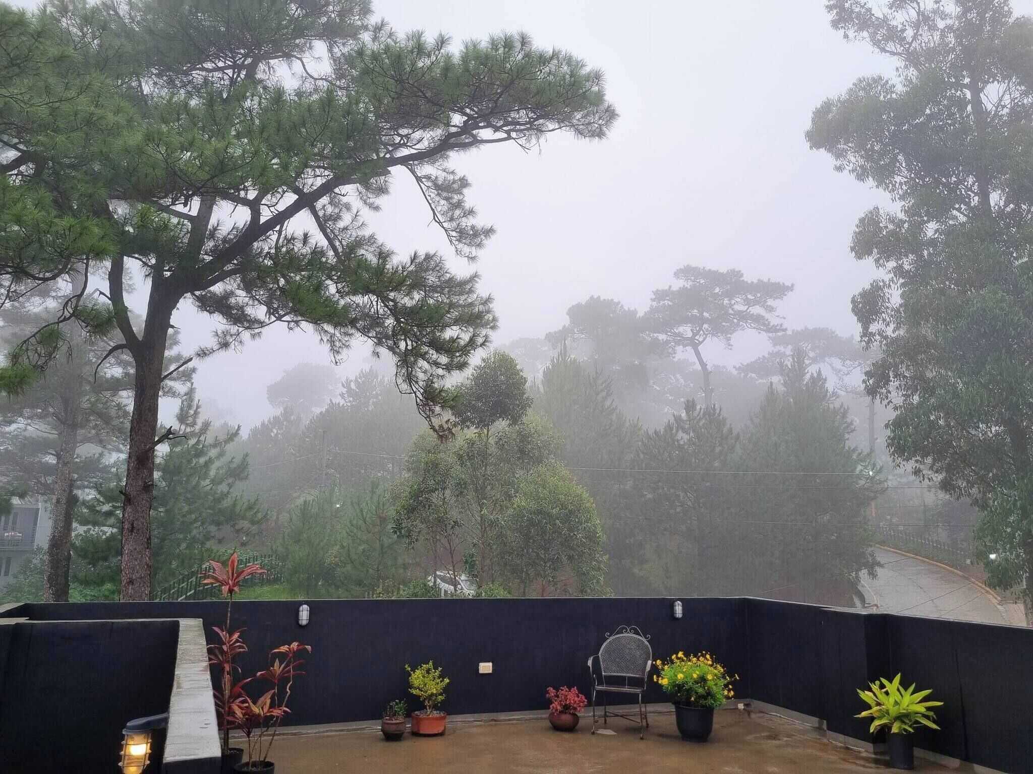 View from property