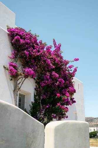 Naxos Kastraki Homey Villa With Sea View