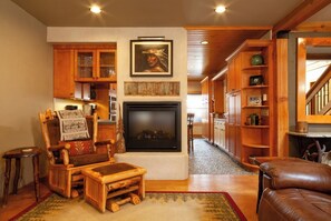 TV, fireplace, books