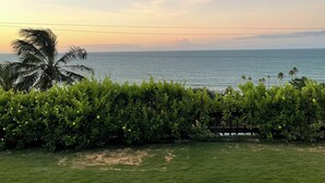 A grassy area with a view of the ocean and a palm tree. - House in Vila Lagoinha (Lagoinha)