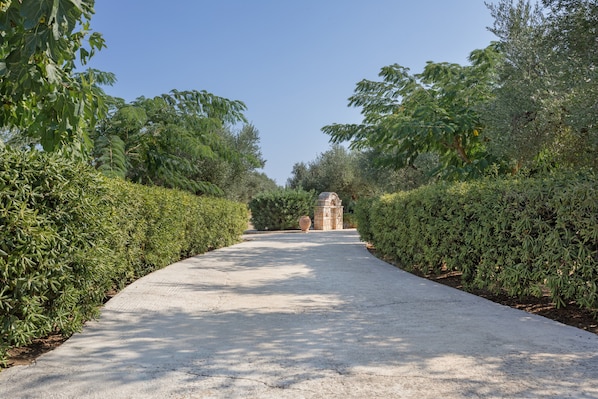 A paved pathway flanked by neatly trimmed hedges leading to a stone structure.