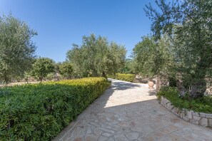 Property grounds - Apartment 'Rustic Two Bedroom 1' with Sea View, Wi-Fi and Air Conditioning (Vasilikos)